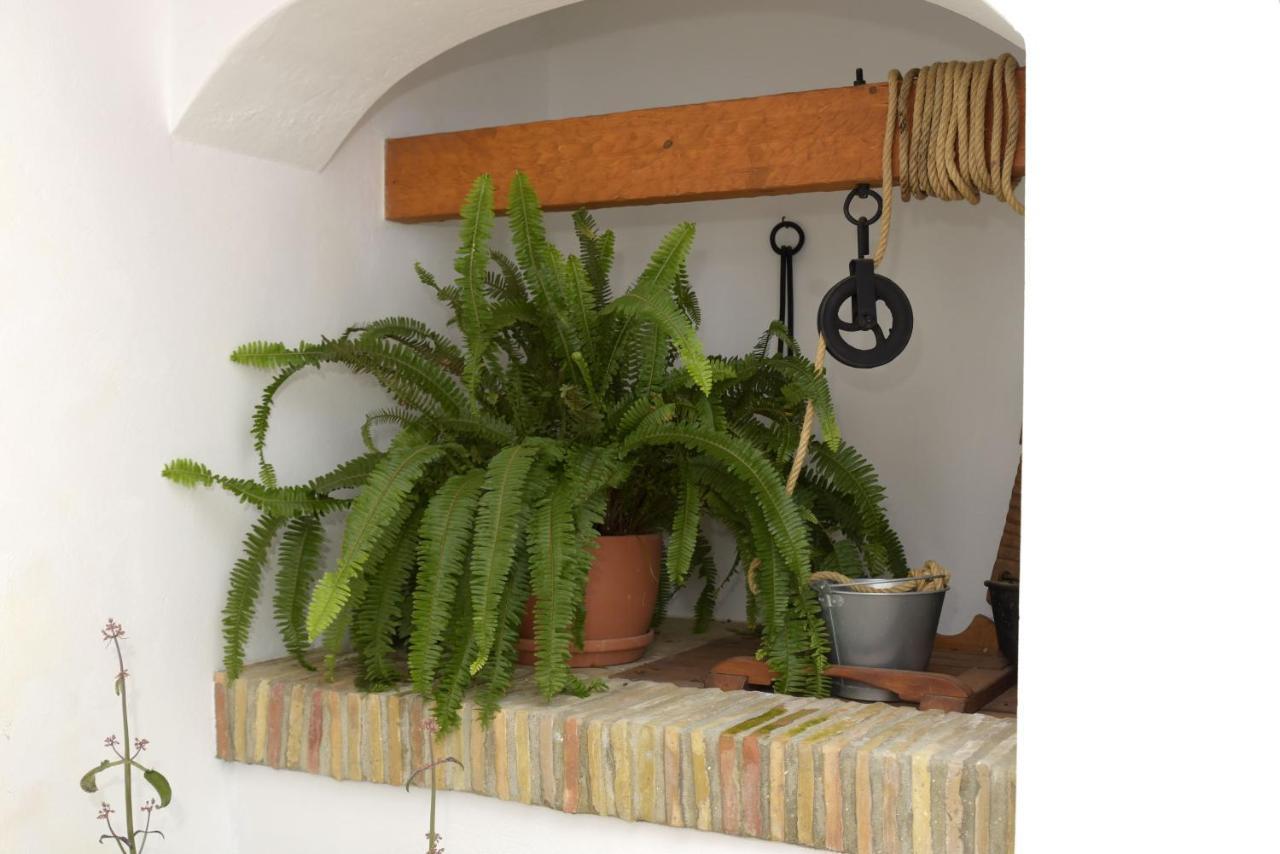 Ferienwohnung Casa Arbonaida Vejer de la Frontera Exterior foto
